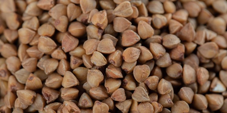 Unprepared buckwheat beans background. High quality photo
