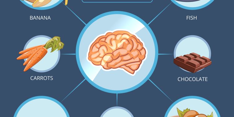Brain food vector infographics. Meat and vitamin, energy for mind, banana and carrot, chicken illustration